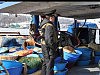Задержаны браконьерские шхуны