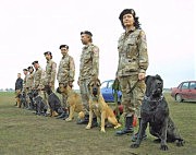 Одетые в форму «Международной полицейской корпорации общественной безопасности» хозяева собак и их подопечные к патрулированию готовы!