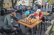 Шахматы на бульваре