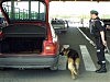 Они встречают врага первыми