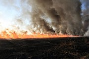 Многие машины останавливались, поскольку из-за дыма ничего не было видно и ехать было невозможно